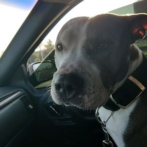 Meet your Posher, Richard